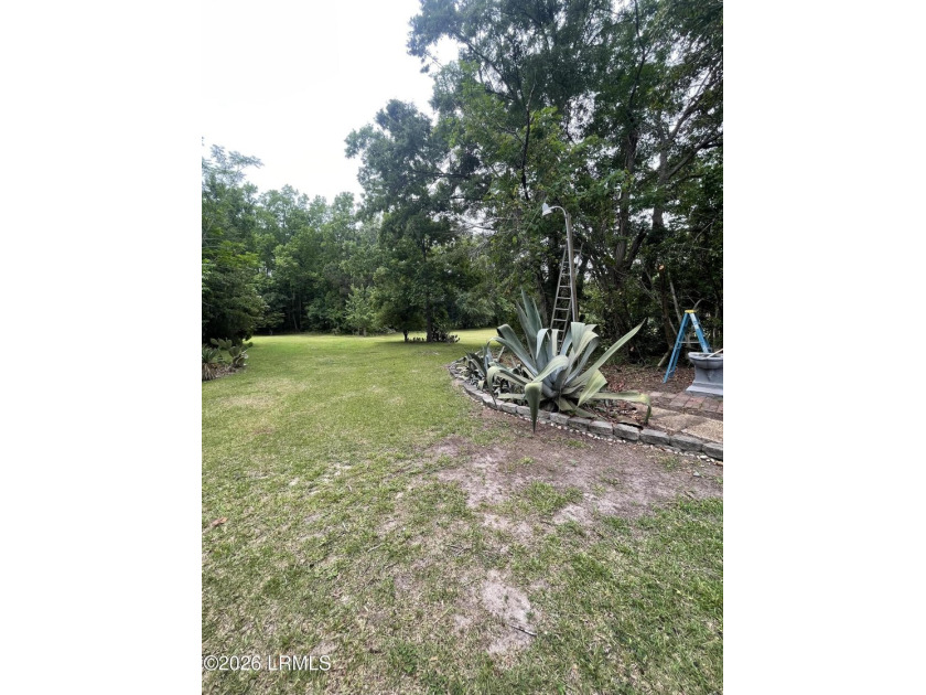 This is a Rare Opportunity ! No HOA, 3 acres, 4 Bedrooms 3 Bath - photo 31
