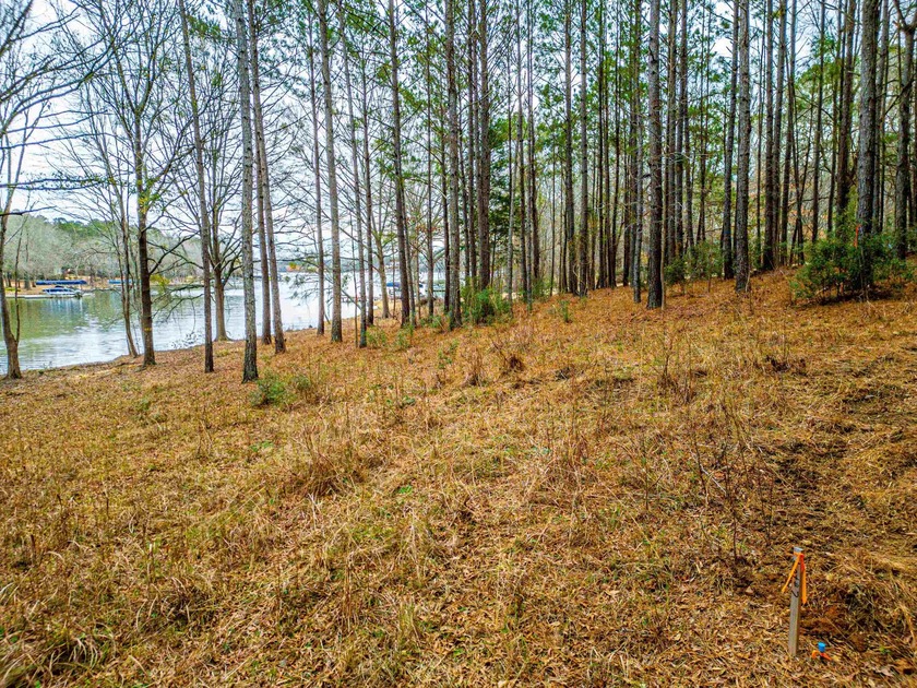 Rare opportunity to own a private, Lakefront, estate lot in - photo 2