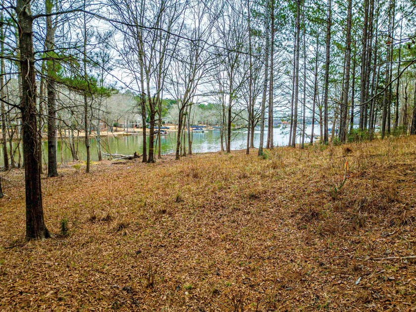 Rare opportunity to own a private, Lakefront, estate lot in - photo 9