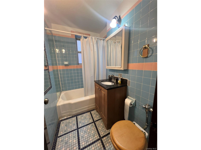 Welcome to this great option of one bedroom co-op apartment for - photo 6