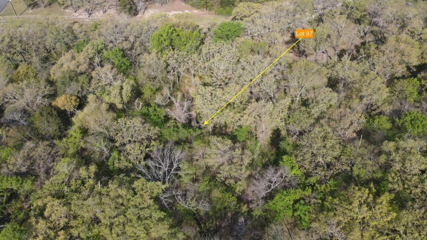 Beautiful treed 1.57 Ac  Corner Oasis - photo 21