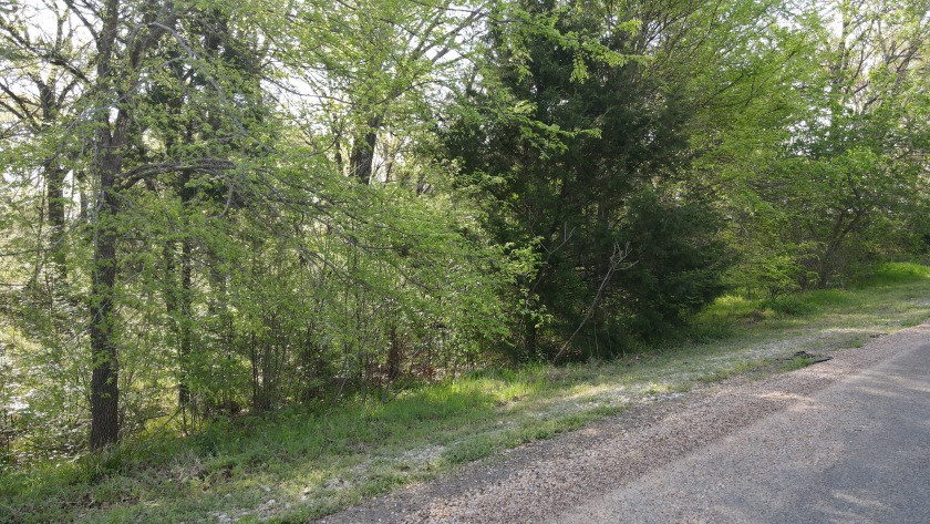 Beautiful treed 1.57 Ac  Corner Oasis - photo 38