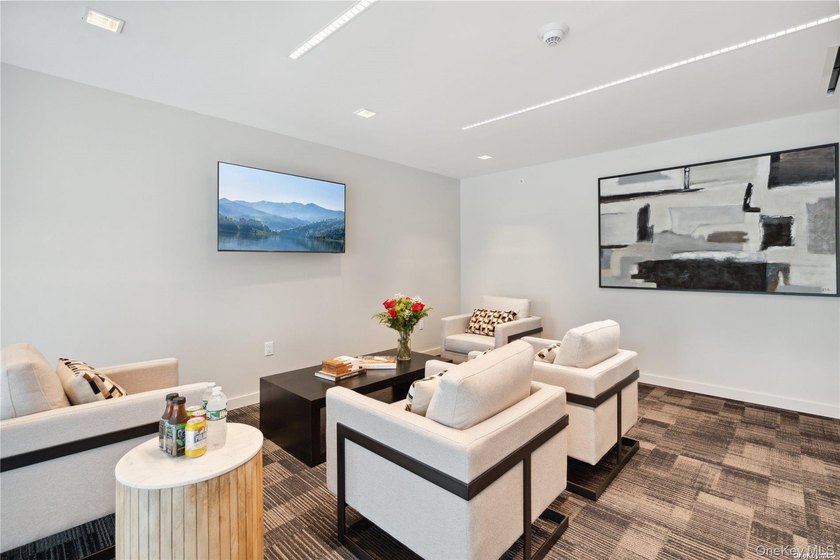 The only new construction condominium building in Great Neck, NY - photo 18