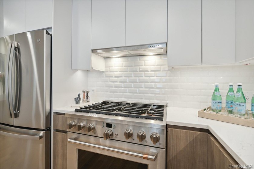 The only new construction condominium building in Great Neck, NY - photo 24