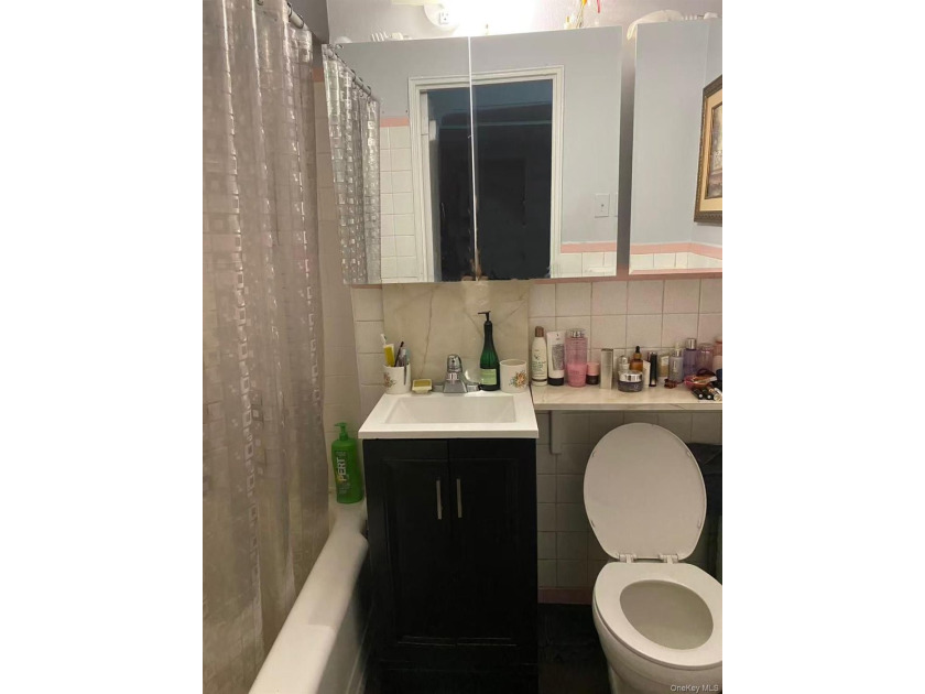 Prime downtown Flushing location - this studio is just a few - photo 9