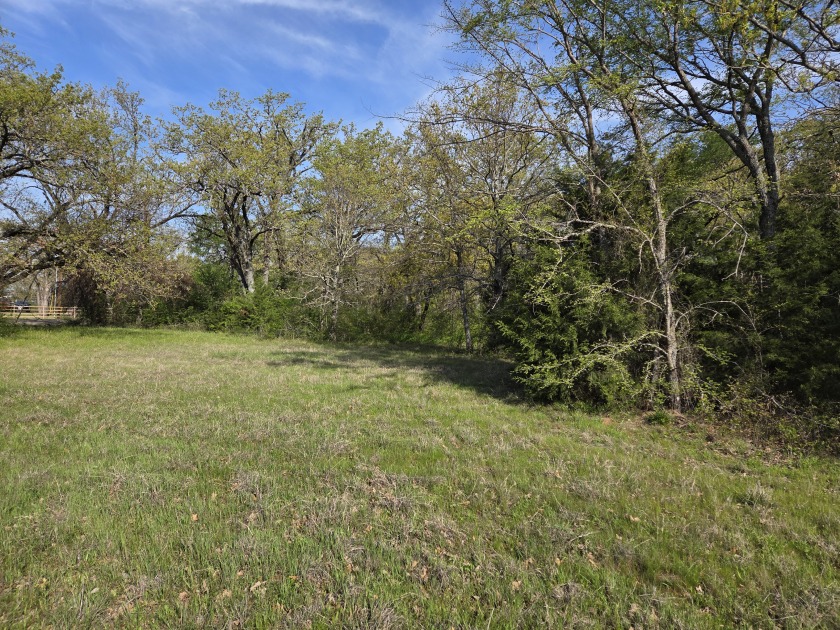 Beautiful treed 1.57 Ac  Corner Oasis - photo 7