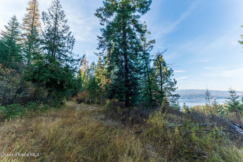 Presenting a rare North Idaho offering nearly 39 acres of - photo 12