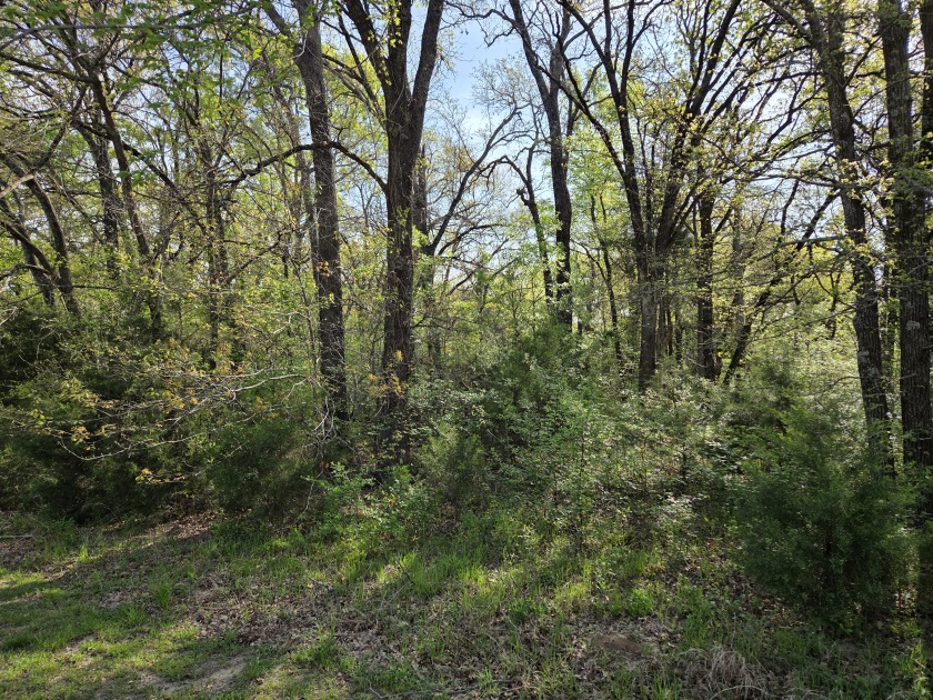 Beautiful treed 1.57 Ac  Corner Oasis - photo 19