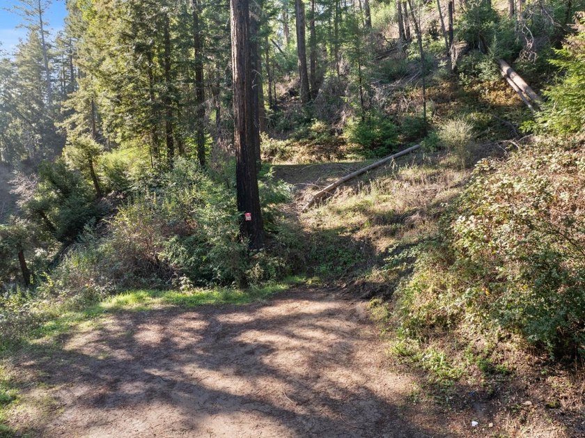 Offering end of the road privacy, this abundantly sunny vacant - photo 11