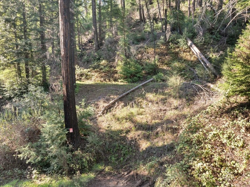 Offering end of the road privacy, this abundantly sunny vacant - photo 12