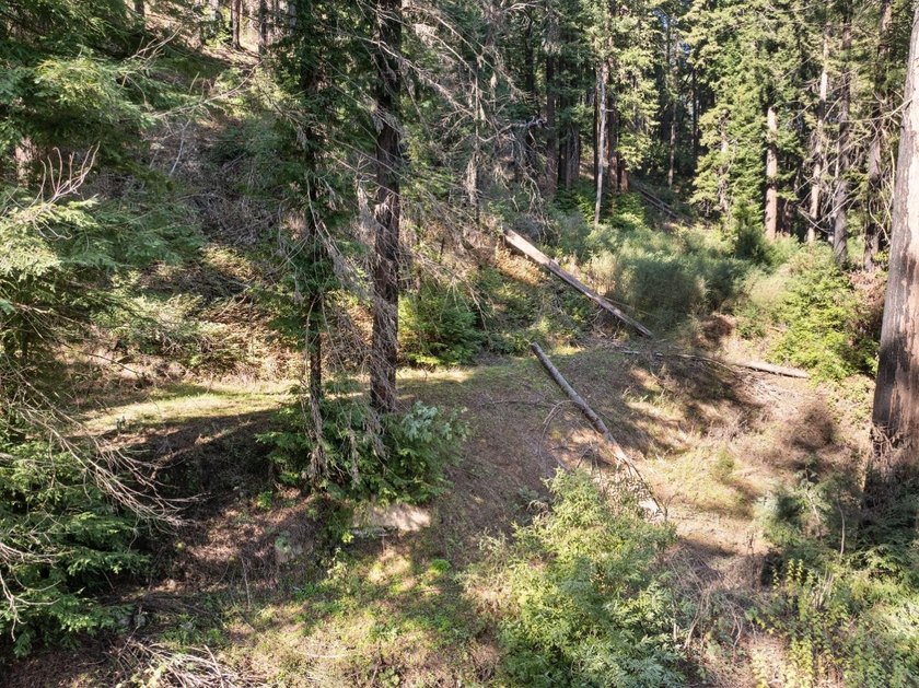 Offering end of the road privacy, this abundantly sunny vacant - photo 13