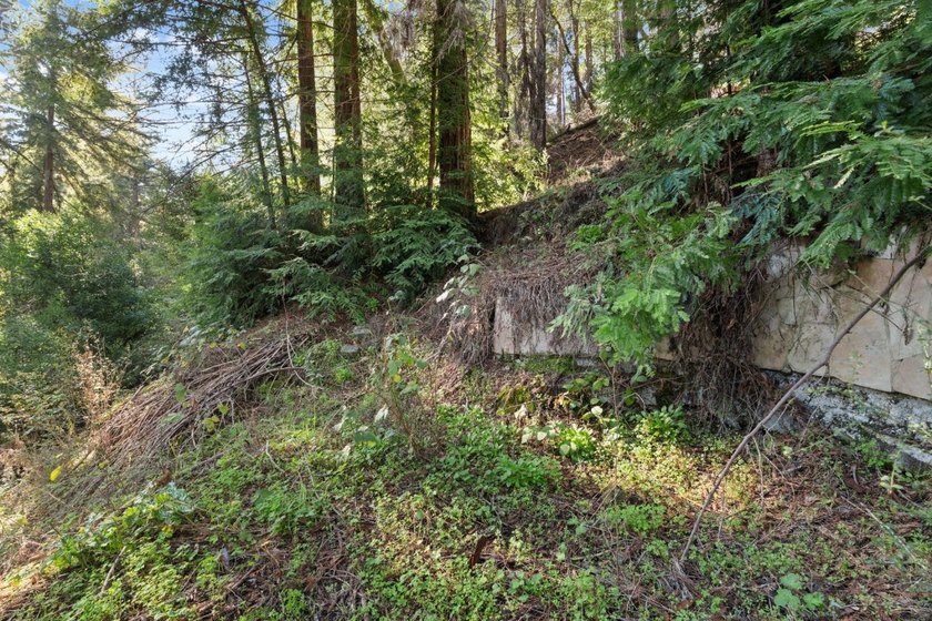 Offering end of the road privacy, this abundantly sunny vacant - photo 17
