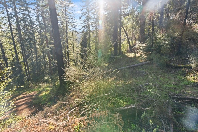 Offering end of the road privacy, this abundantly sunny vacant - photo 19
