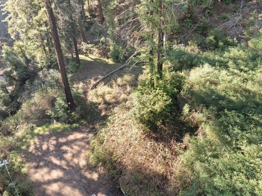 Offering end of the road privacy, this abundantly sunny vacant - photo 20