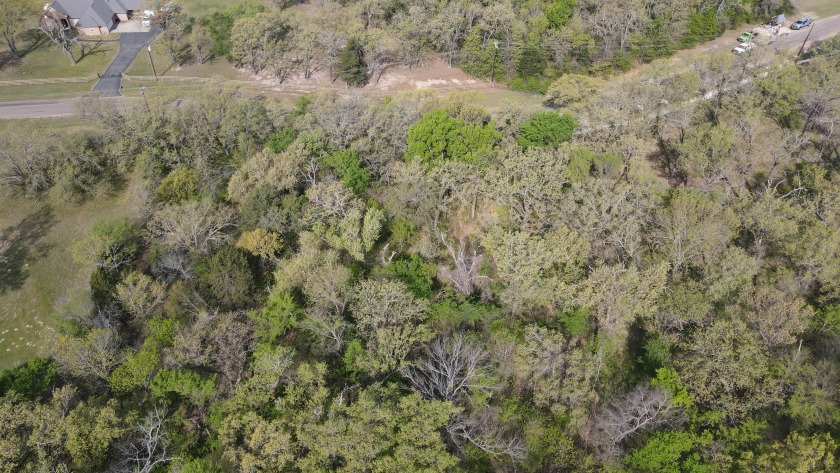 Beautiful treed 1.57 Ac  Corner Oasis - photo 15