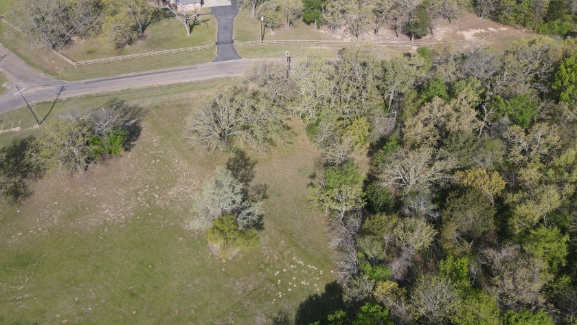 Beautiful treed 1.57 Ac  Corner Oasis - photo 10