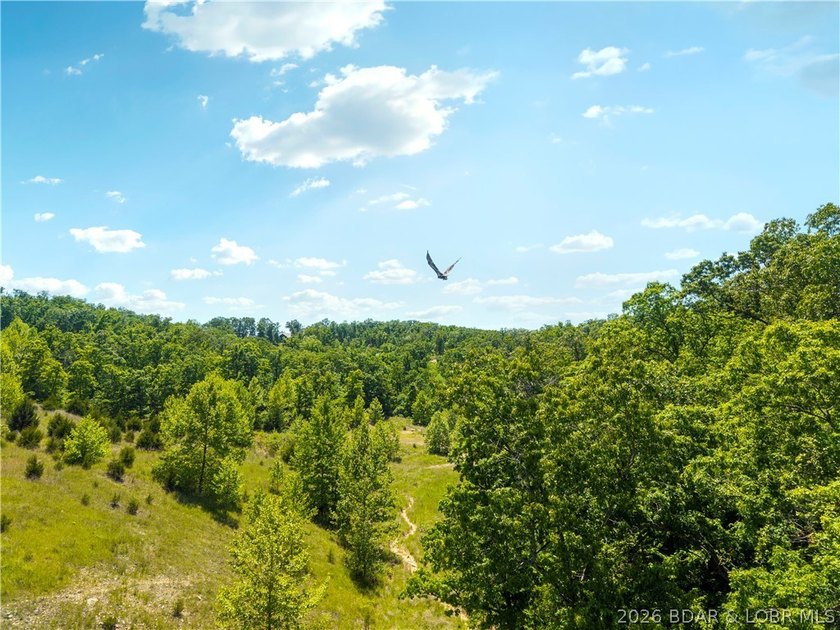Rare opportunity to own one of the most impressive lakefront - photo 46