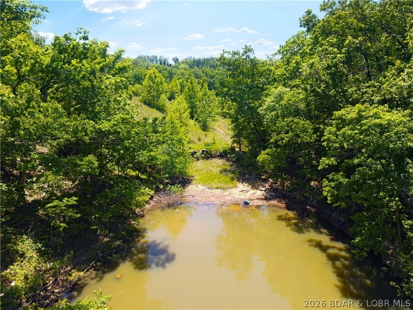 Rare opportunity to own one of the most impressive lakefront - photo 49