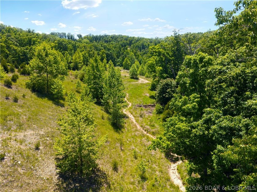 Rare opportunity to own one of the most impressive lakefront - photo 50