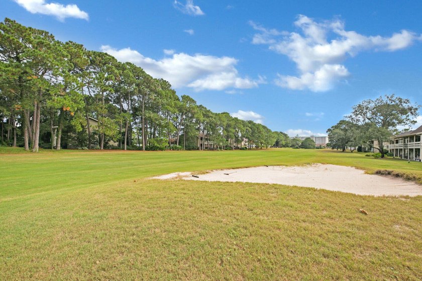 One of only a handful of west-end Corner units in Ariel Dunes I - photo 38