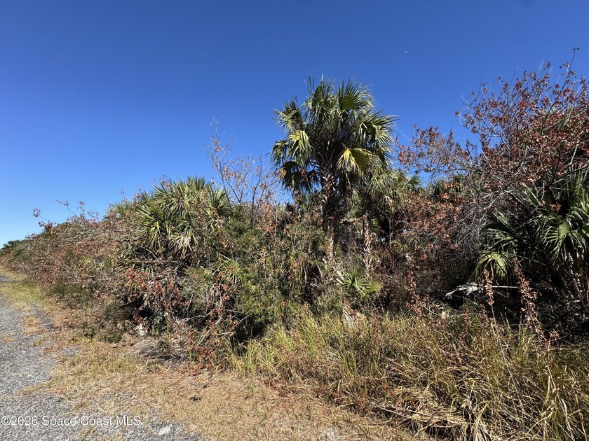 PRIME PARCEL in SW Palm Bay! Secure land at an ENTRY-LEVEL PRICE - photo 4