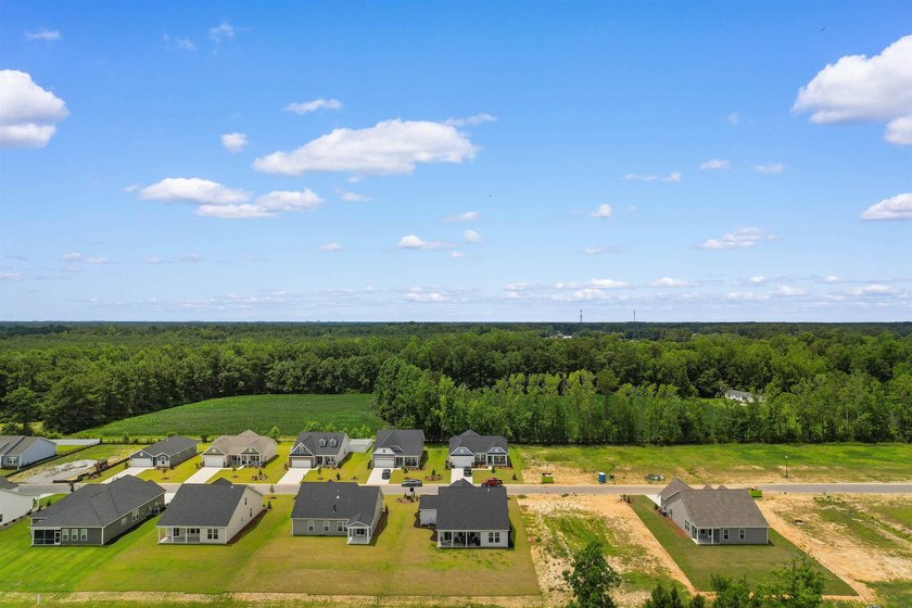 Welcome to this beautiful 3 bedroom /3 bath home, built in 2026 - photo 45