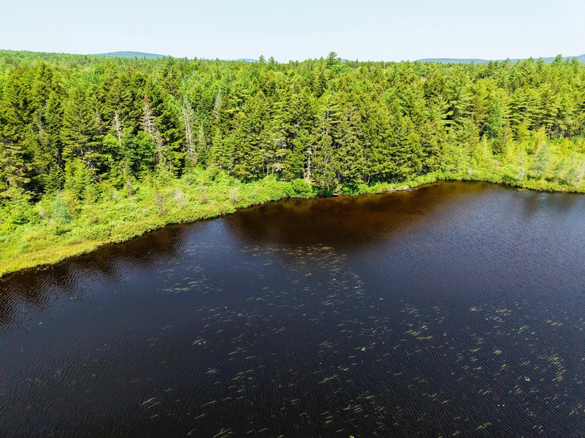 Escape to the heart of Maine's North Woods with this exceptional - photo 2