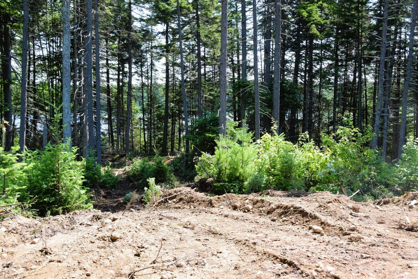 Escape to the heart of Maine's North Woods with this exceptional - photo 4
