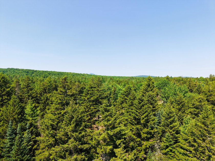 Escape to the heart of Maine's North Woods with this exceptional - photo 10