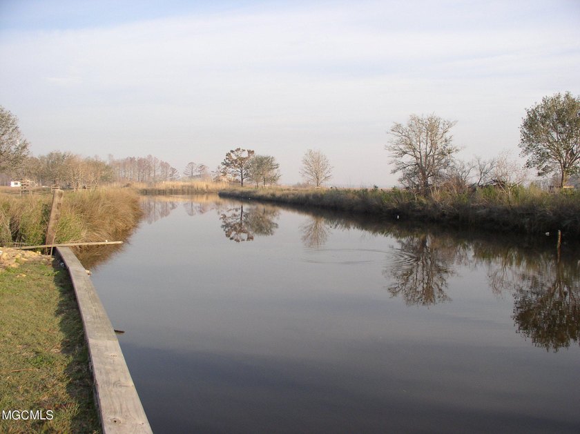 Opportunity is endless! 183 acres in Bay St. Louis! Over 1/2 - photo 6