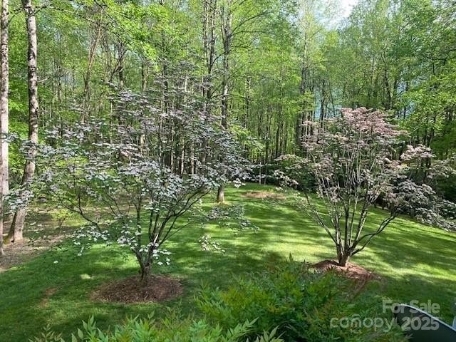 Updated and Move-In-Ready Kenmure Cottage. This warm and - photo 44