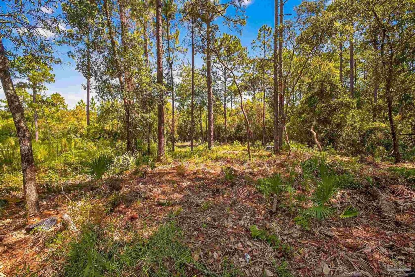 Discover the perfect setting for your future home with this - photo 5