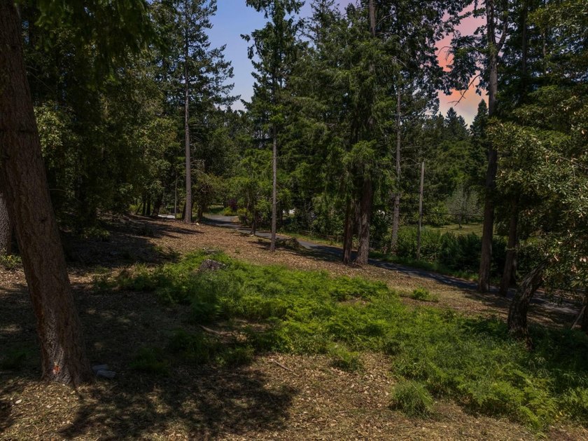 Build-ready 1.6-acre parcel in Bonny Doon with two optional - photo 17