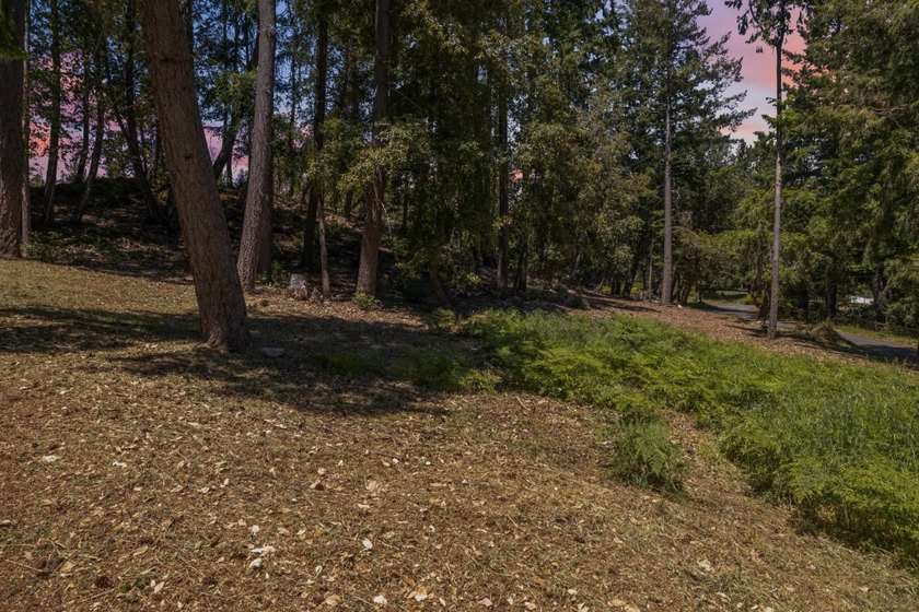 Build-ready 1.6-acre parcel in Bonny Doon with two optional - photo 20