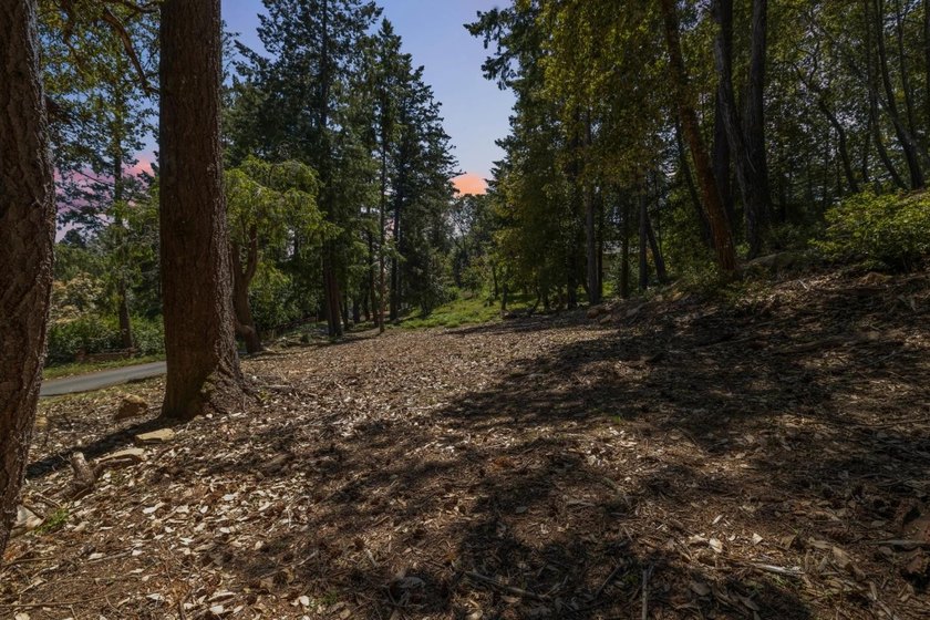 Build-ready 1.6-acre parcel in Bonny Doon with two optional - photo 22