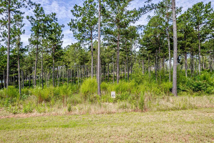 Lot 63 The Falls at Lake Sinclair Discover the perfect setting - photo 3