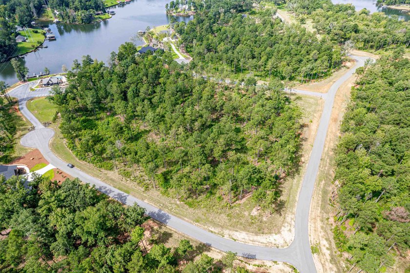 Lot 63 The Falls at Lake Sinclair Discover the perfect setting - photo 4