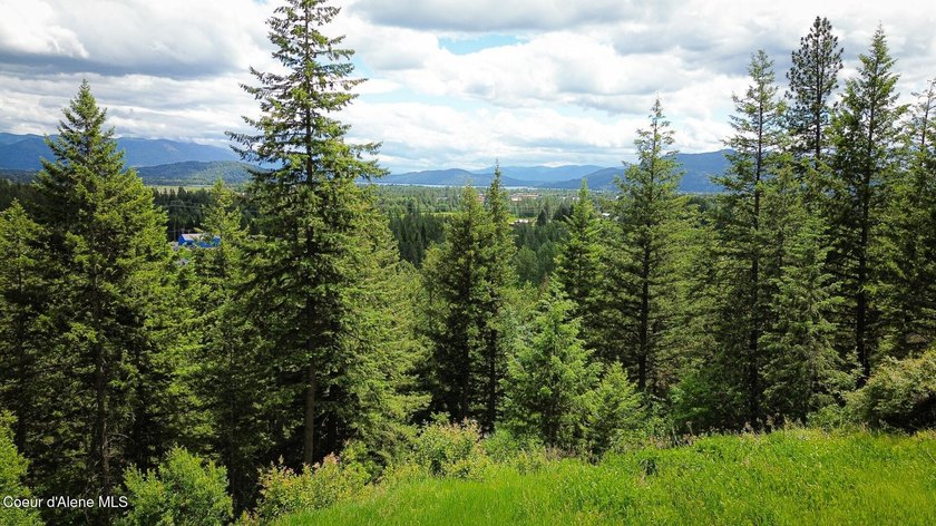 PROJECT GRANITE RIDGE | LUXERY NEW CONSTRUCTION BELOW SCHWEITZER - photo 14
