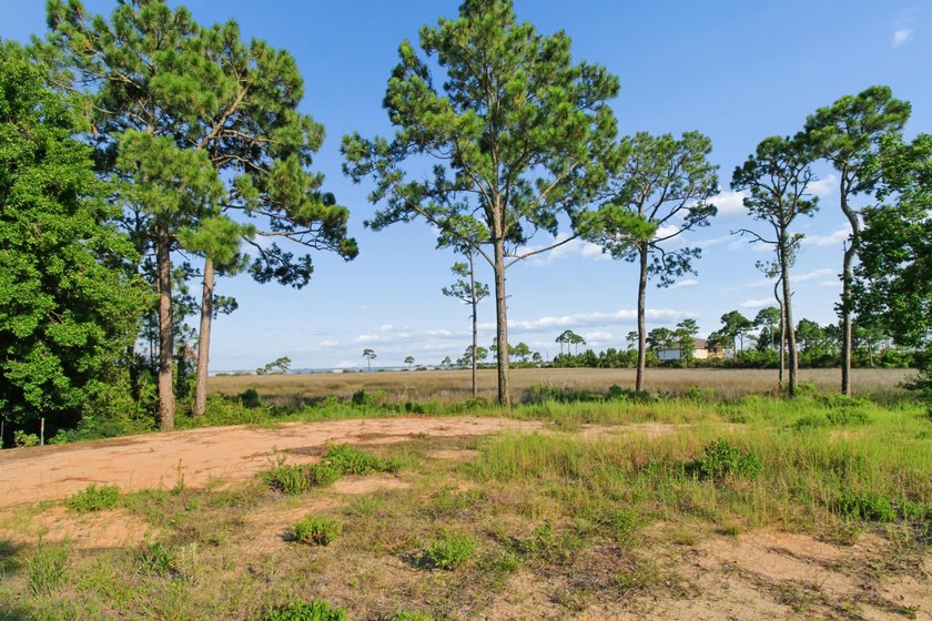 Build Your Dream Home with Stunning Water Views! This .37-acre - photo 12