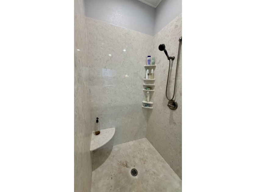 Welcome to 123 Lake Francis Drive, a true Lake Placid gem where - photo 36