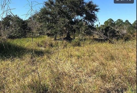 This 1.31-acre vacant  lot on Hwy 60 E in Lake Wales, Florida - photo 2