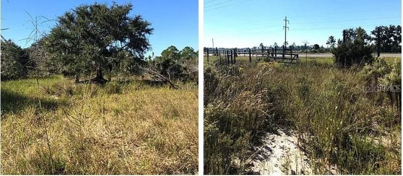 This 1.26-acre vacant  lot on Hwy 60 E in Lake Wales, Florida - photo 2