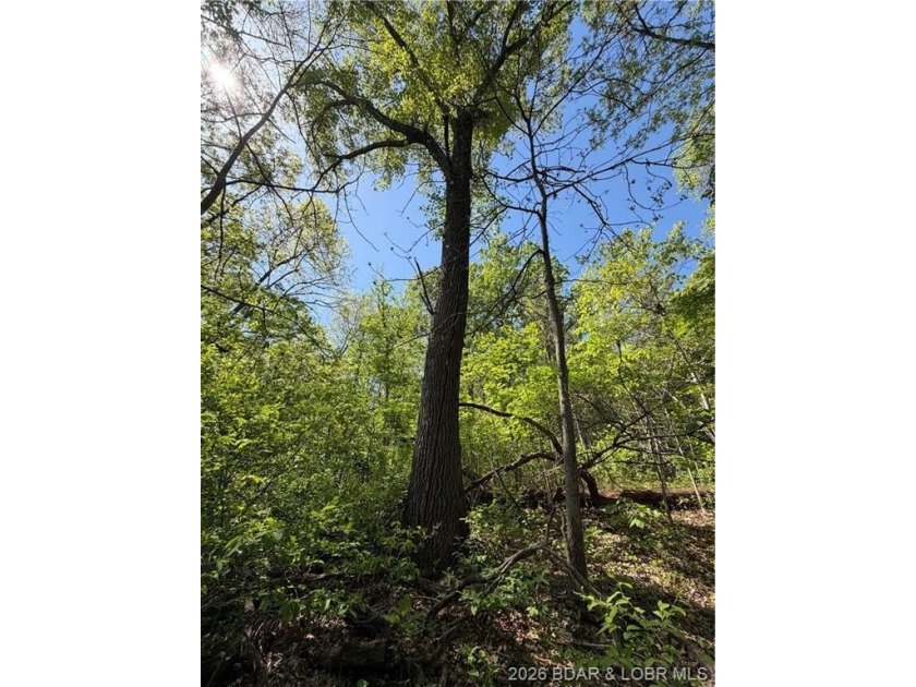Come walk the property, explore the landscape, and see for - photo 11
