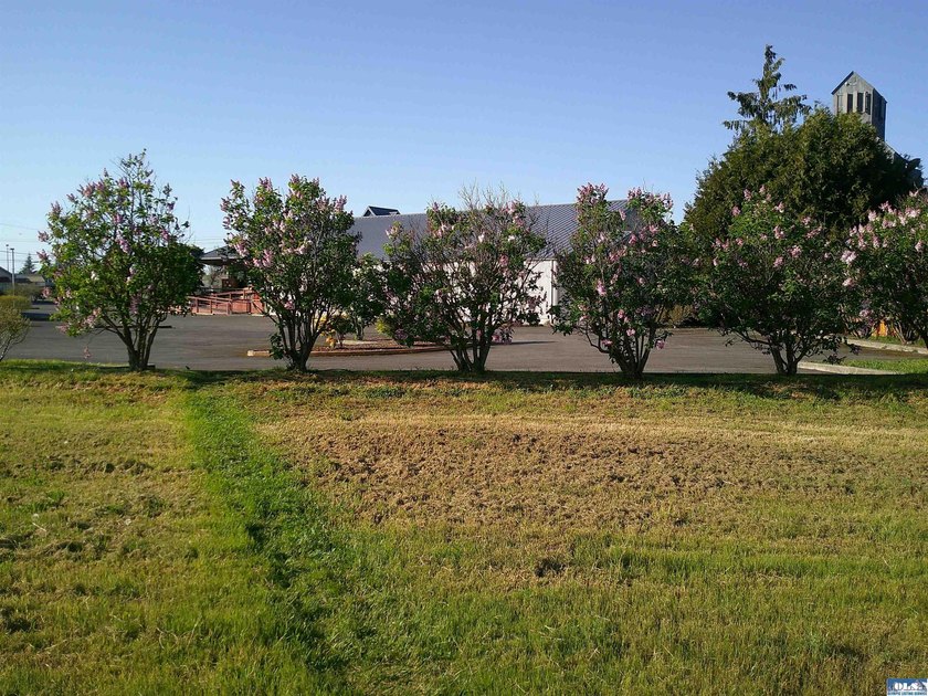 Nice level lot in downtown with Community Mixed Use zoning which - photo 2