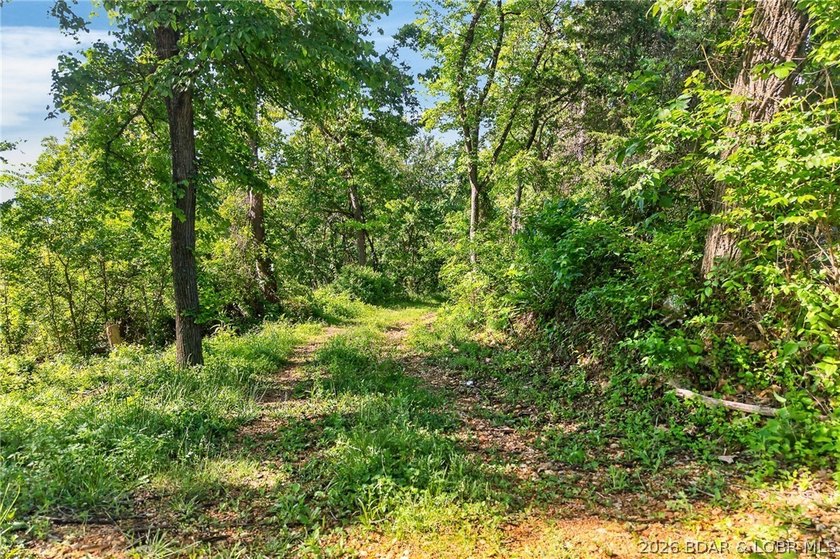Excellent opportunity to own a well-established - photo 42