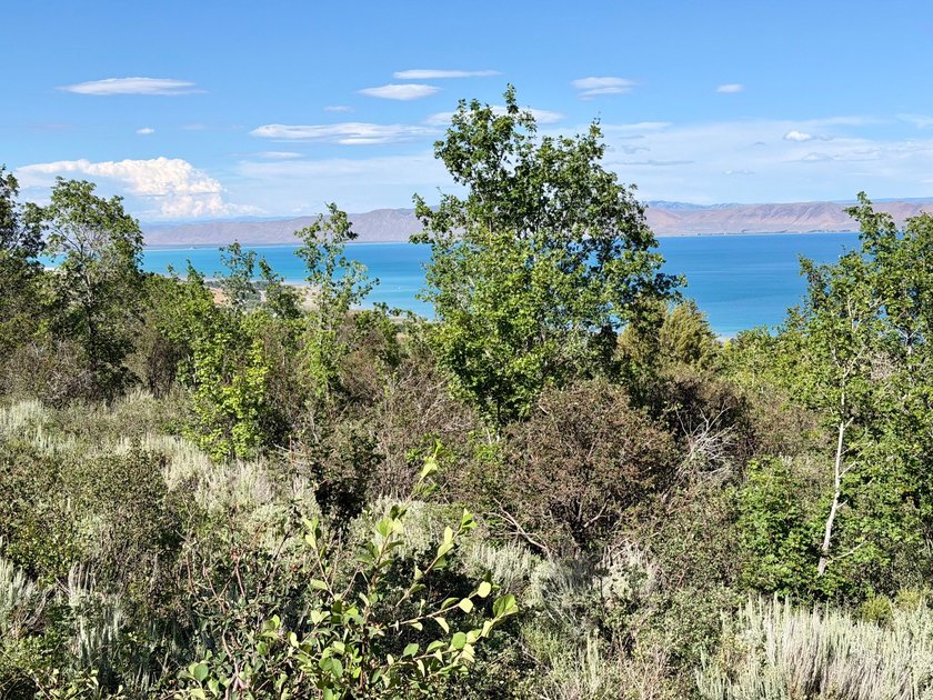 Own two lots in beautiful Bear Lake! Trees, year round - photo 3