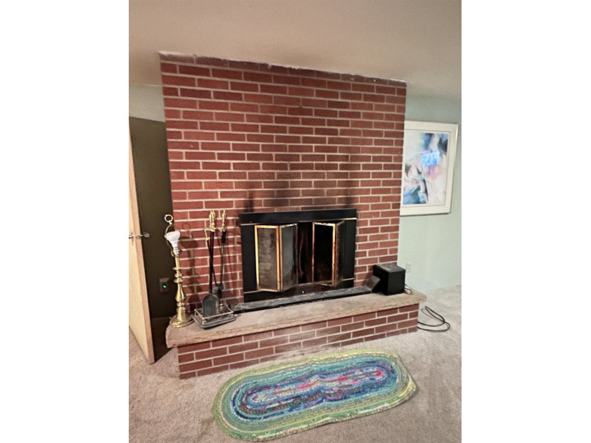Great south side home with many amenities. Very large primary - photo 37