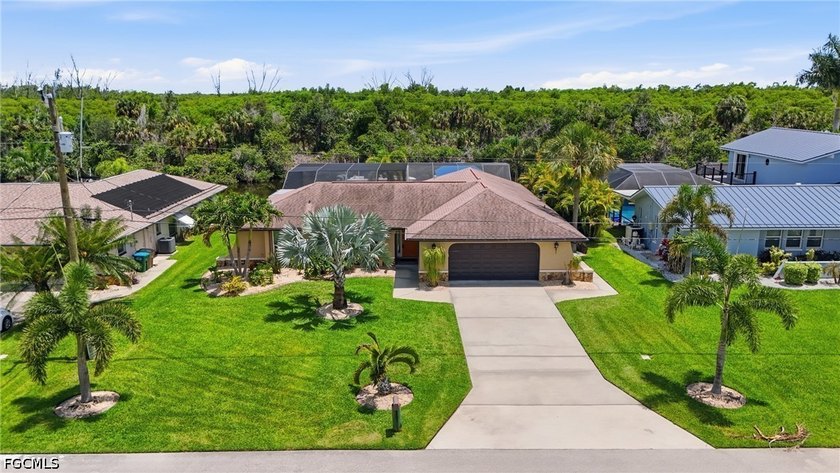 DIRECT GULF ACCESS WITH PRESERVE VIEWS, SOUTHERN EXPOSURE, TWO - photo 11