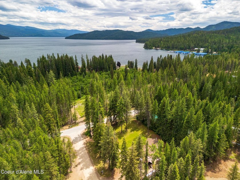 Discover exceptional versatility and location at 527/529 - photo 39