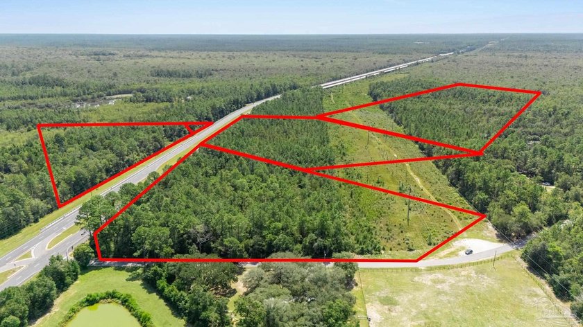 Prime development opportunity with 38+/- acres of wooded land - photo 3